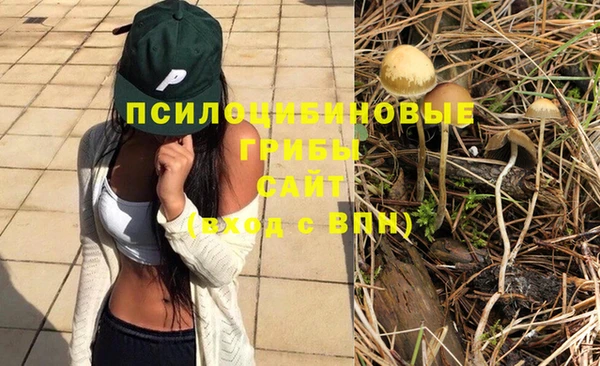 метадон Краснослободск