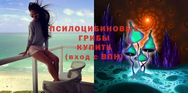 метадон Краснослободск