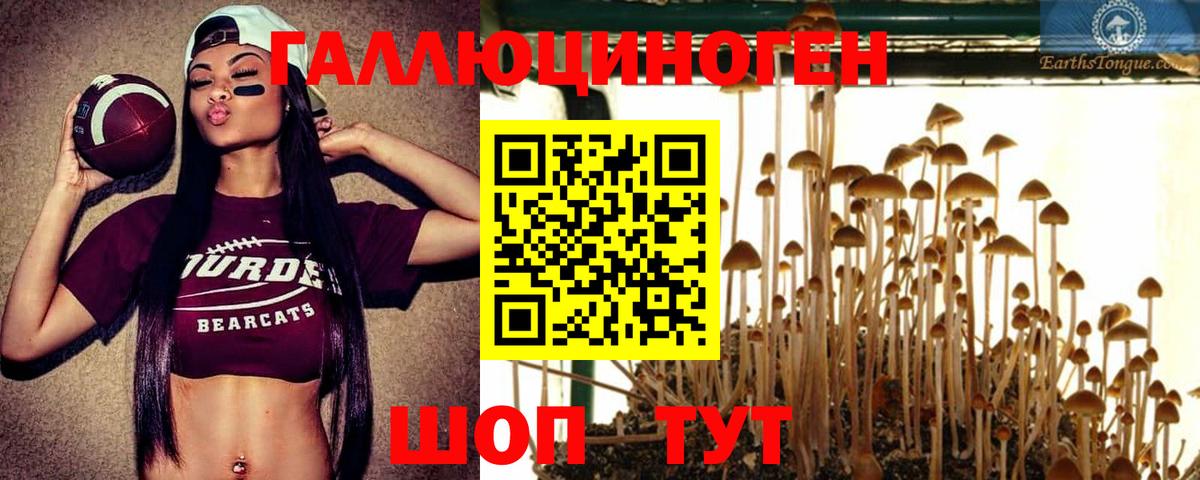 Галлюциногенные грибы GOLDEN TEACHER Красноперекопск