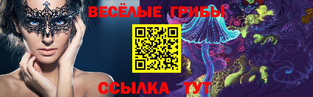цены   Псилоцибиновые грибы Cubensis  Красноперекопск  Вход с VPN  Псилоцибиновые грибы прущие грибы 