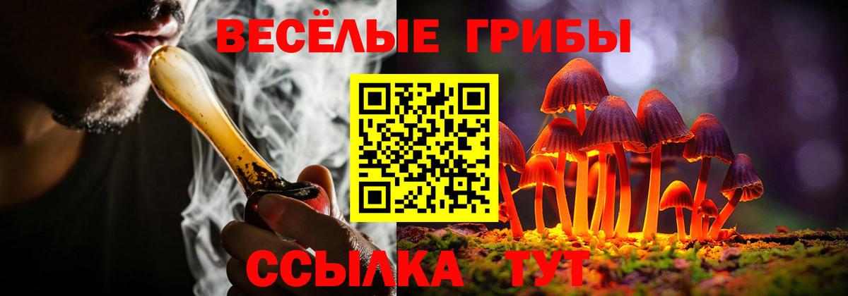 Псилоцибиновые грибы прущие грибы Красноперекопск
