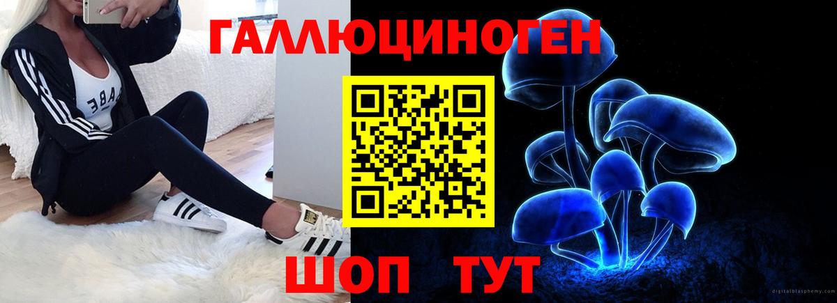 Галлюциногенные грибы Magic Shrooms  Псилоцибиновые грибы прущие грибы  Красноперекопск 